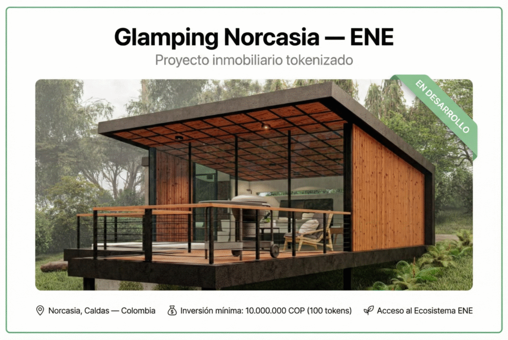 participación de inversión – norcasia (ene holding)
